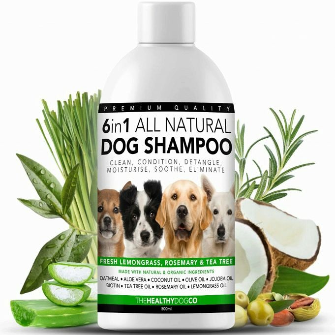 7 Migliori Shampoo Antipulci Per Cani
