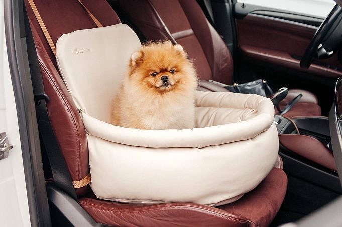 Il Miglior Seggiolino Auto Per Cani Per Corgi: Il Più Testato E Affidabile Di Tutti