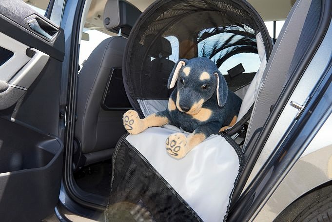 Il Miglior Seggiolino Auto Per Chihuahua: Il Più Testato E Affidabile
