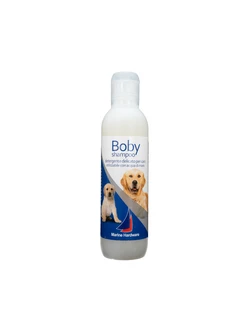 Shampoo senzacqua per cani Guida allacquisto